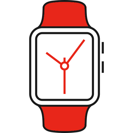 Fenix 6X - Image 6